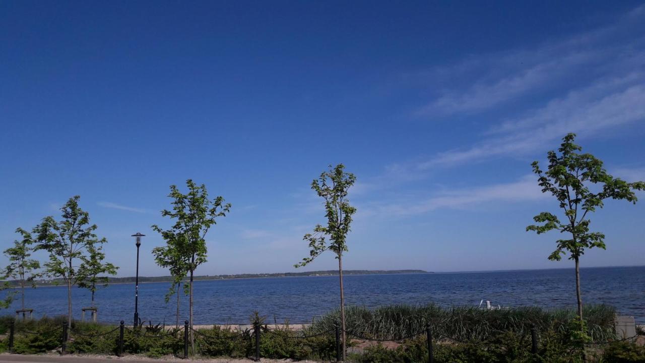 Villa U Przyjaciol Rewa Dış mekan fotoğraf